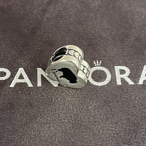 Pandora Bison Wyoming State Heart Charm Travel Pendant - Picture 2 of 4